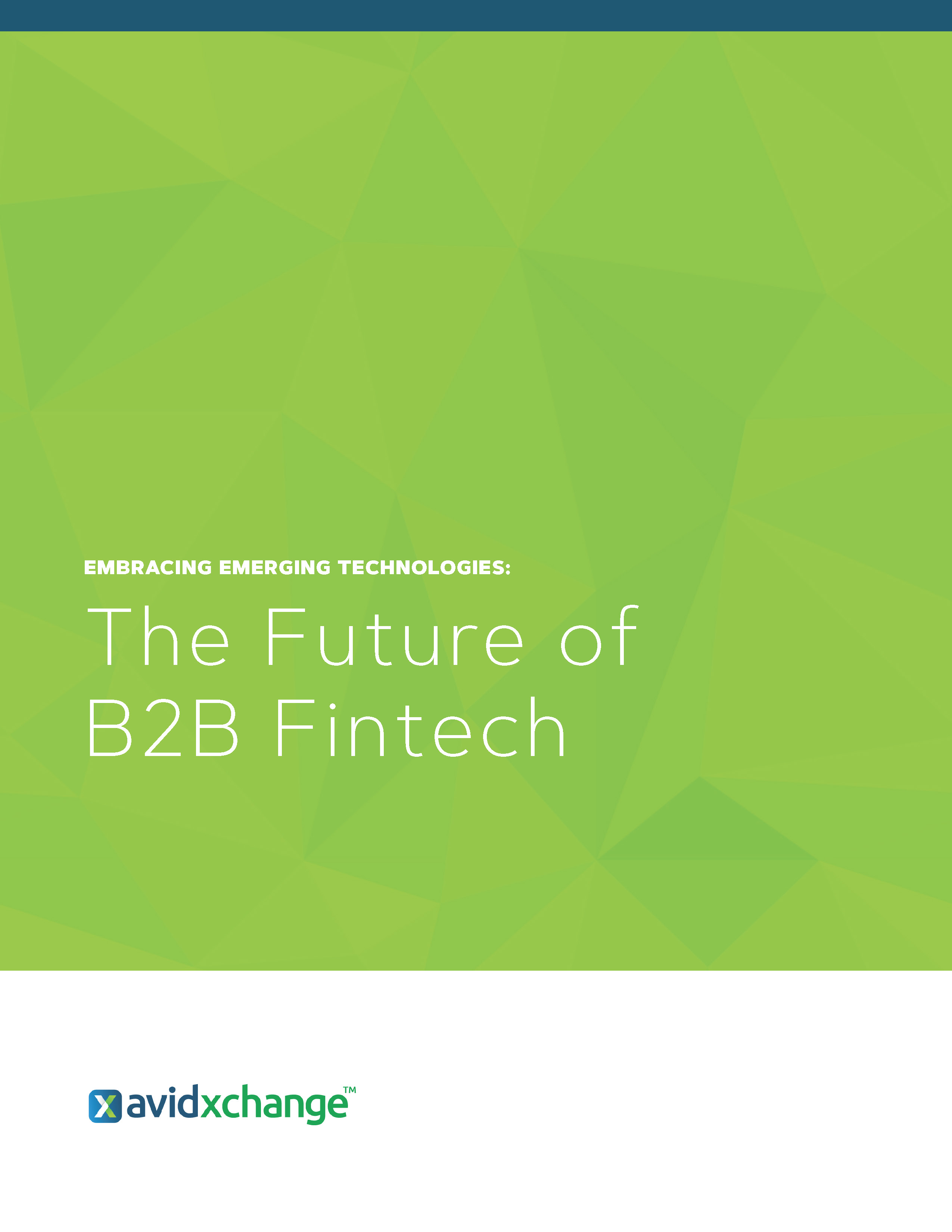 Embracing Emerging Technologies The Future of B2B Fintech