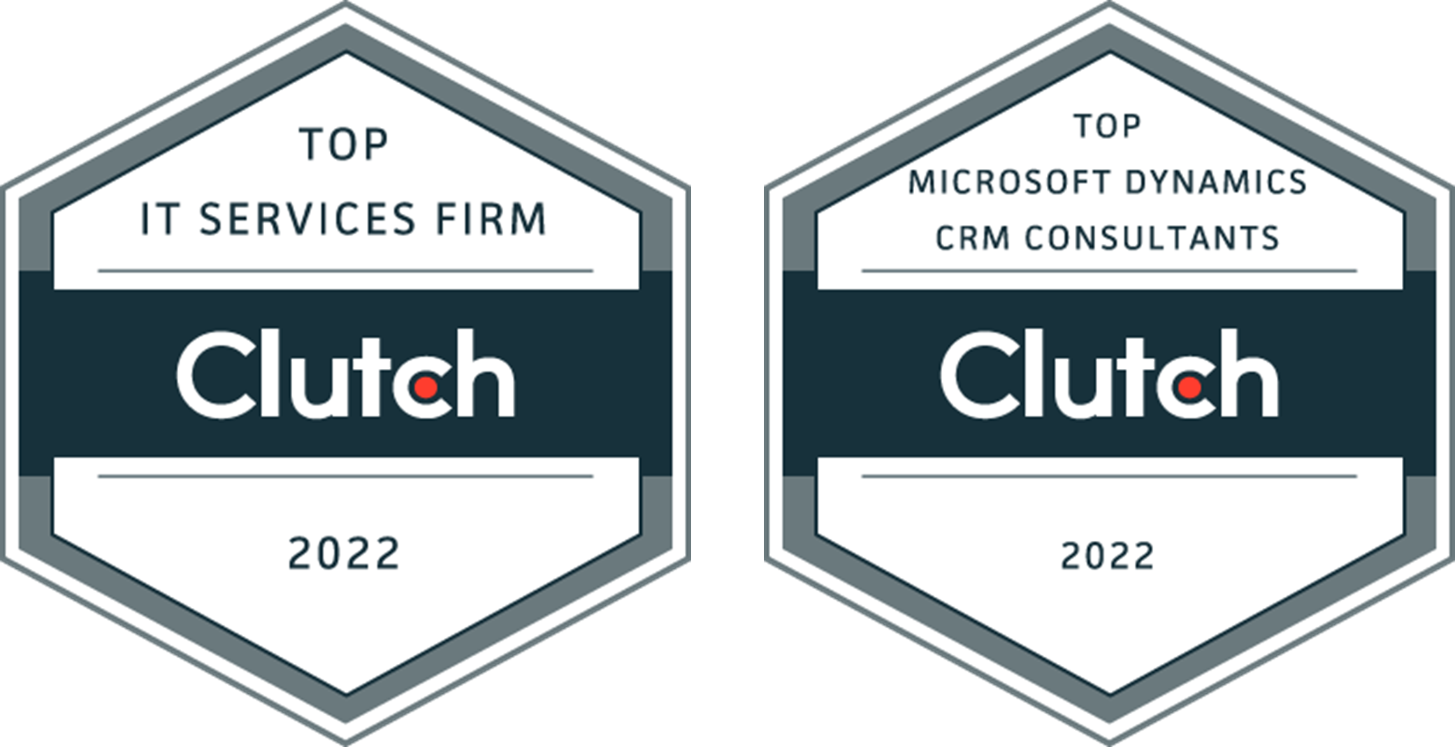 2022-top-IT-Services-Firm-TMC-Clutch-Award-and CRM