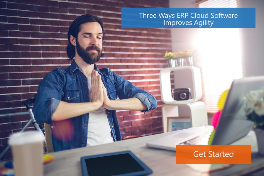 3 ways ERP cloud software improve flexibility2-1.jpg