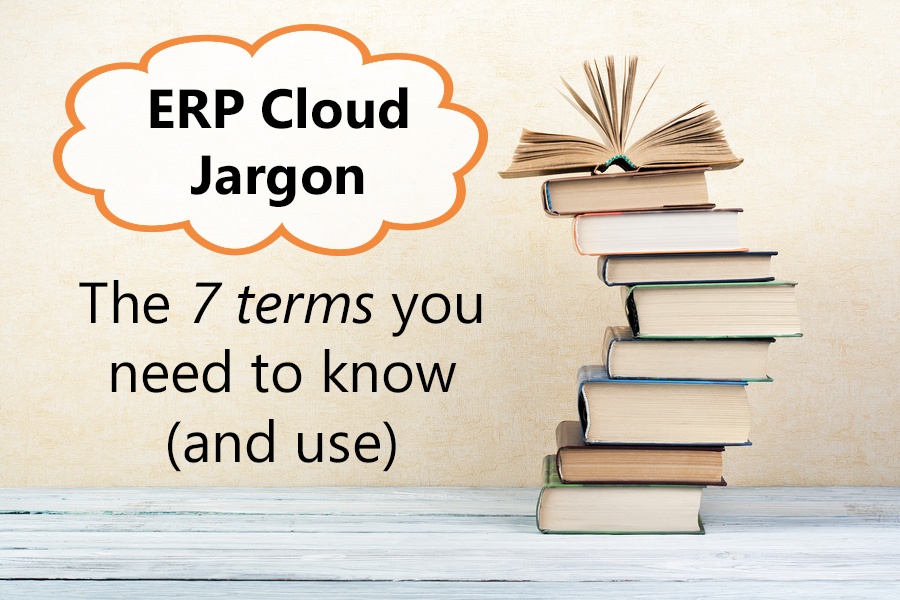 ERP-Cloud-Jargon-books-title.jpg