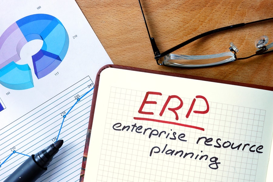 ERP Systems and Government Contractors: Increasing Transparency