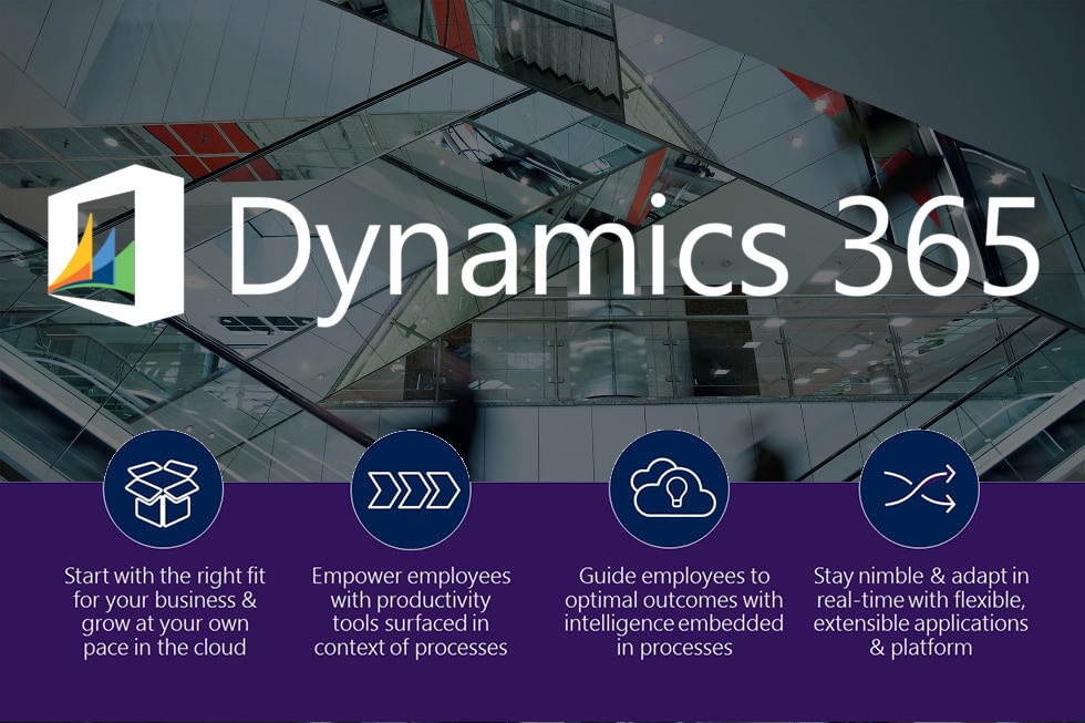 Microsoft Dynamics 365 Information