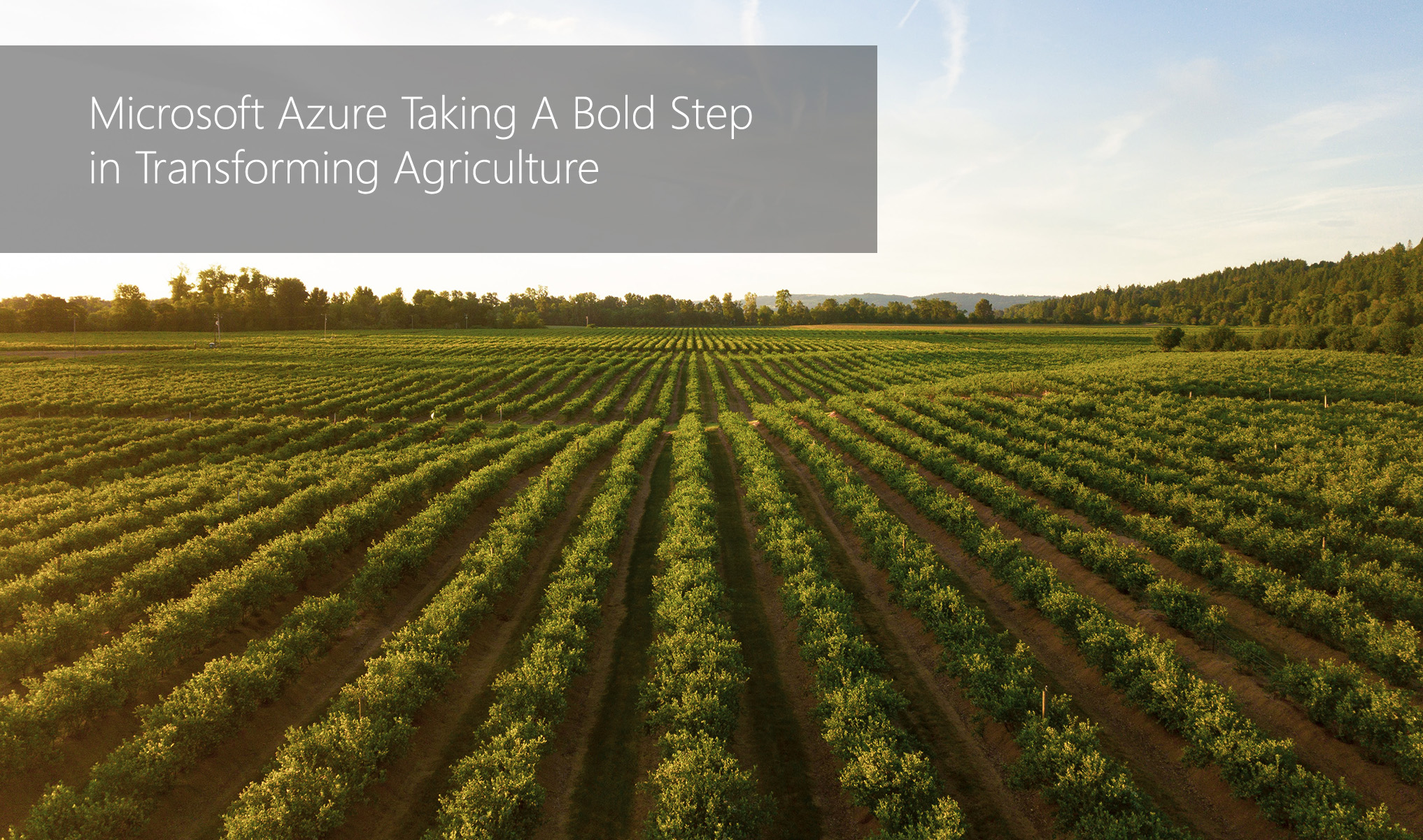 tmc-blog-microsoft-azure-taking-a-bold-step-in-transforming-agriculture